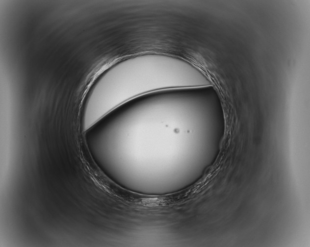X0000087350050200704200813