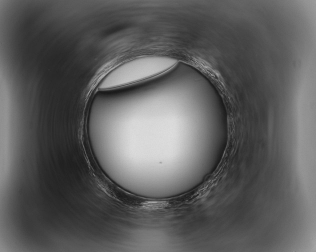 X0000087350051200704200813