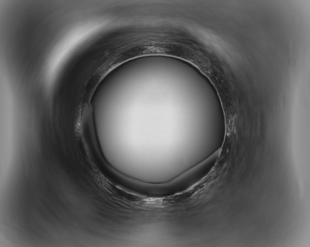 X0000087350052200704200813