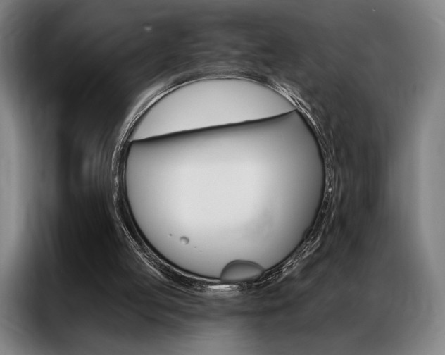 X0000087350053200704200813