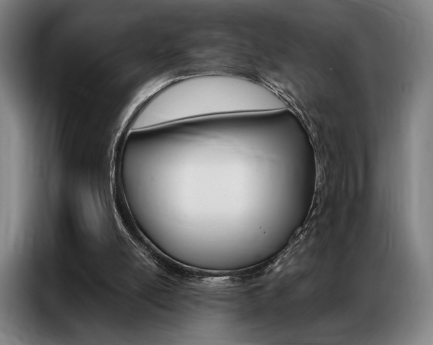 X0000087350054200704200813