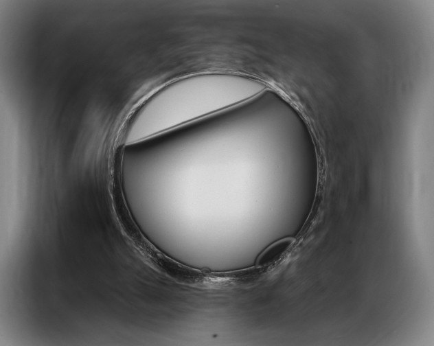X0000087350055200704200813