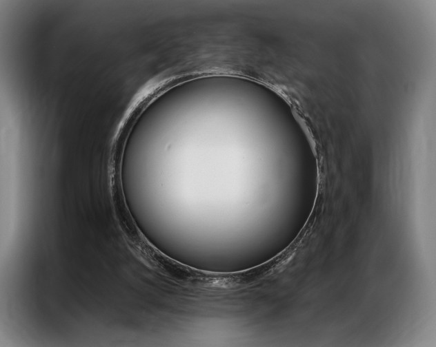 X0000087350056200704200813