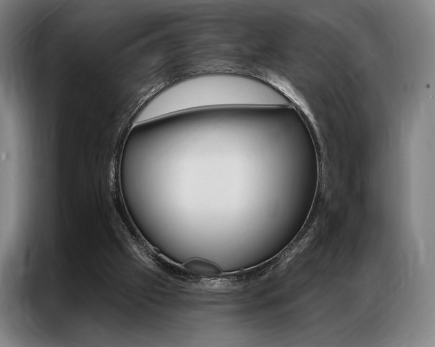 X0000087350057200704200813