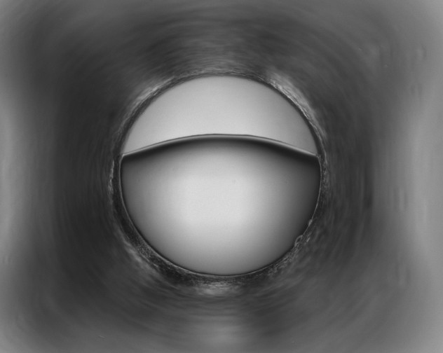X0000087350058200704200813