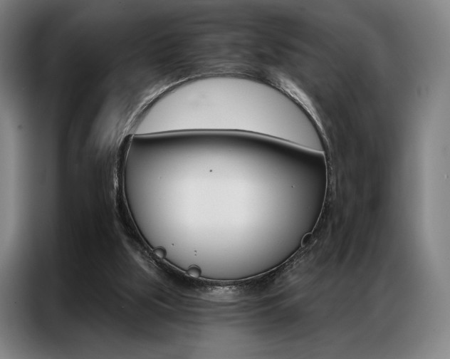 X0000087350059200704200813