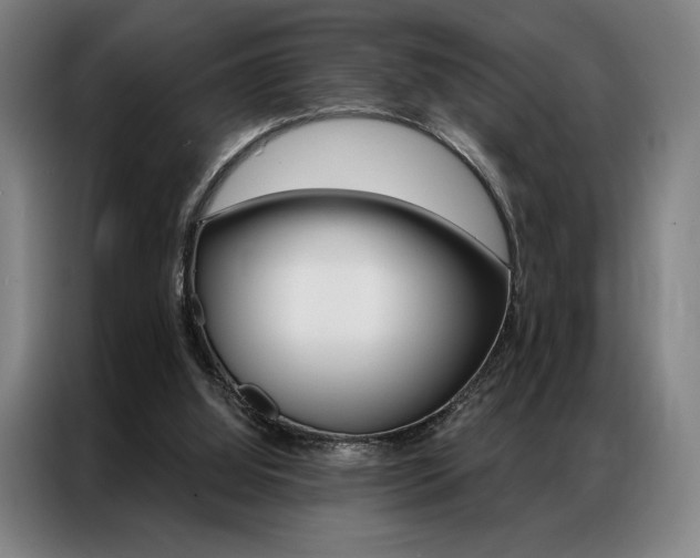 X0000087350060200704200813