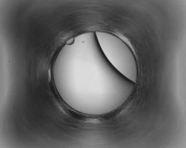 X0000087350061200704200813