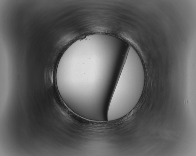 X0000087350062200704200813
