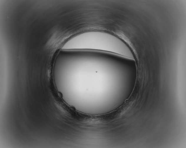 X0000087350063200704200813
