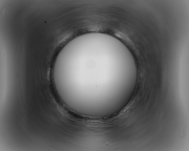 X0000087350066200704200813