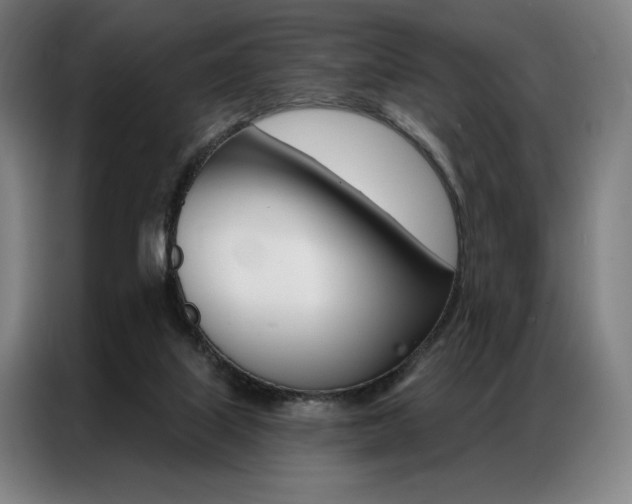X0000087350067200704200813