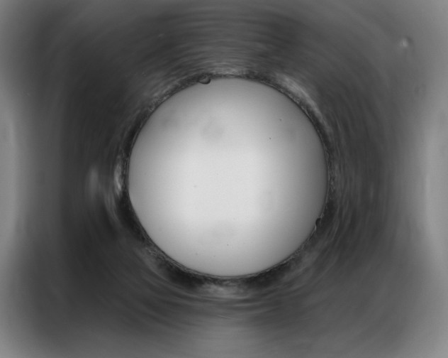 X0000087350069200704200813