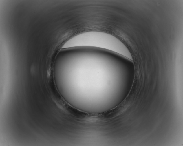 X0000087350072200704200813