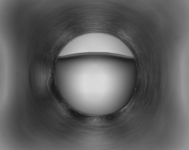 X0000087350074200704200813