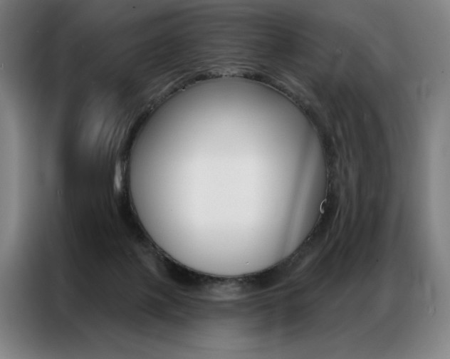 X0000087350075200704200813