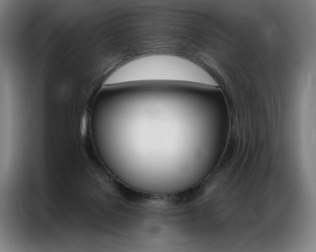 X0000087350076200704200813