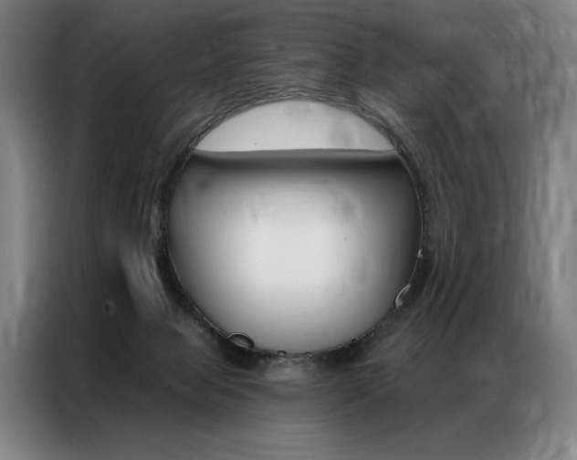 X0000087350077200704200813