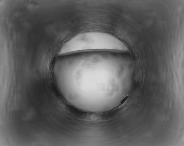 X0000087350078200704200813
