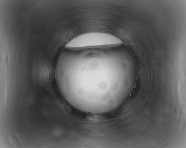 X0000087350079200704200813
