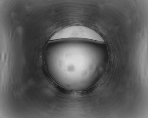 X0000087350080200704200813