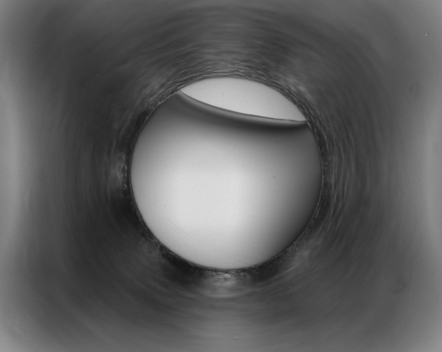 X0000087350083200704200813