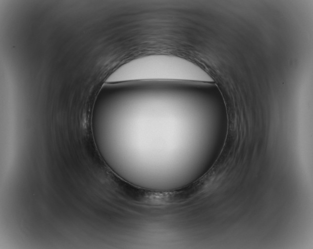 X0000087350084200704200813