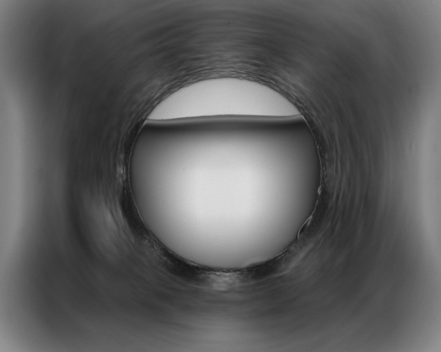X0000087350085200704200813