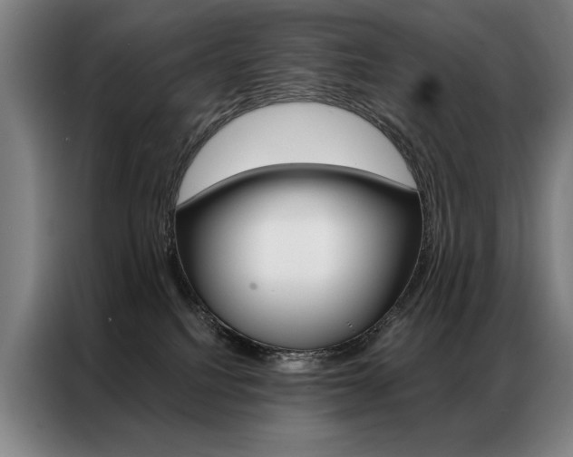 X0000087350088200704200813