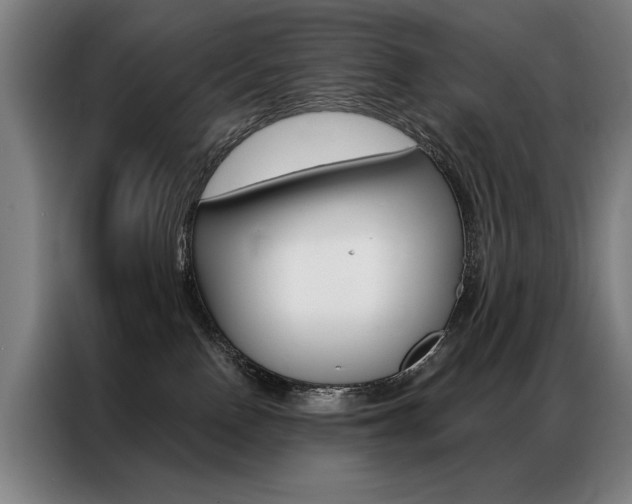 X0000087350090200704200814