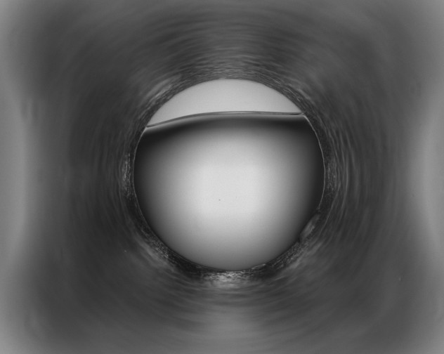 X0000087350092200704200814