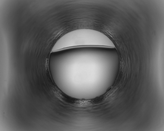 X0000087350093200704200814