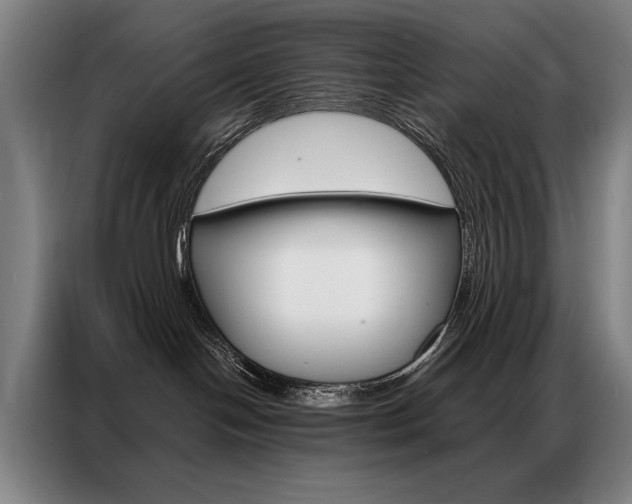 X0000087350094200704200814