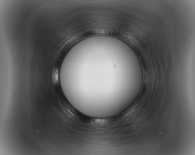 X0000087350095200704200814