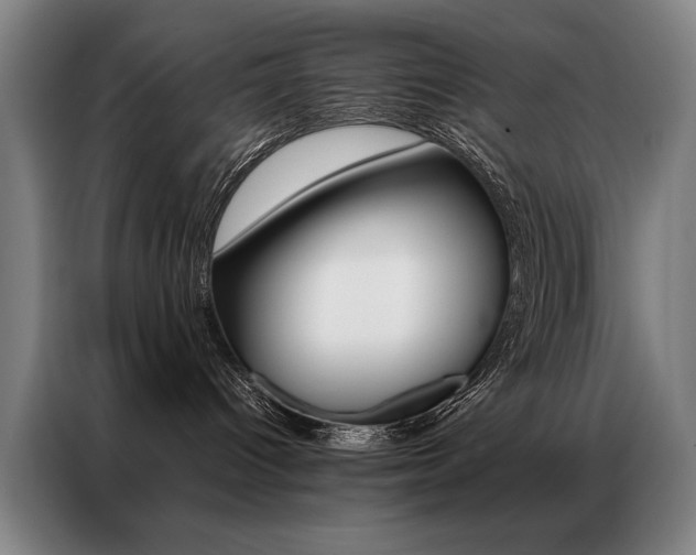X0000087350096200704200814