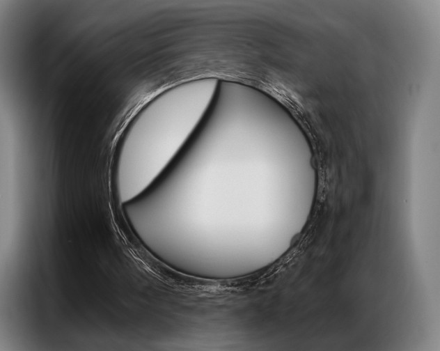 X0000087350098200704200813
