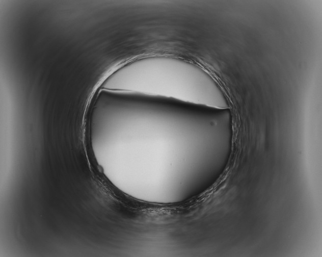 X0000087350100200704200813
