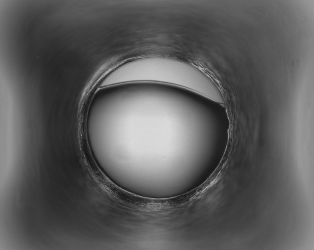 X0000087350101200704200813