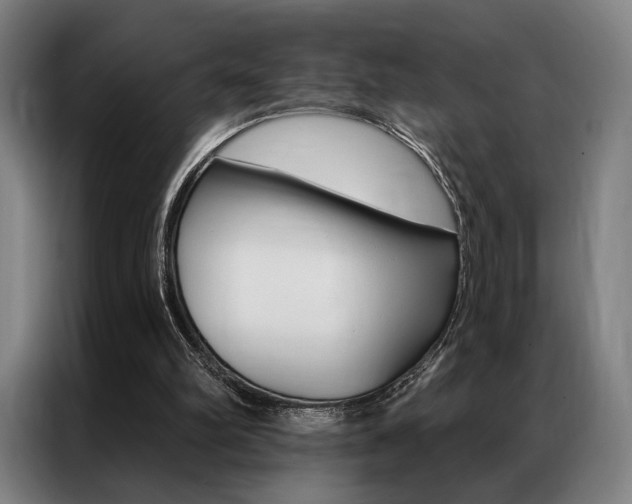 X0000087350102200704200813