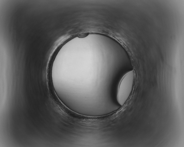 X0000087350104200704200813