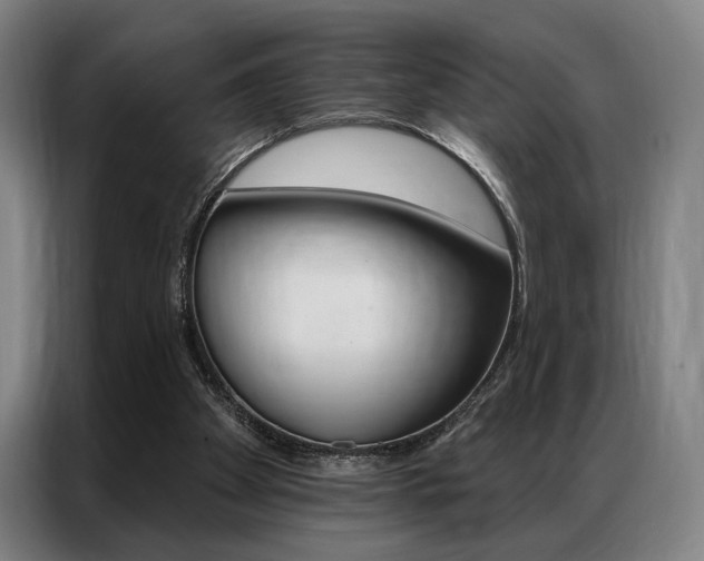 X0000087350105200704200813
