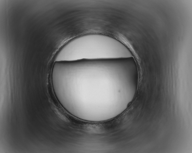 X0000087350106200704200813
