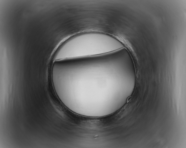 X0000087350108200704200813