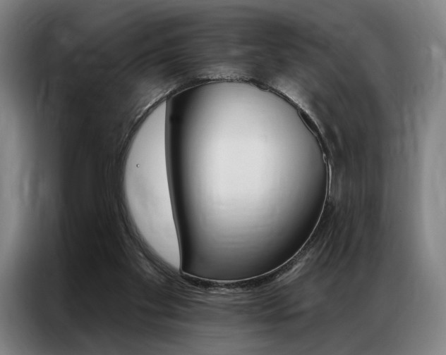 X0000087350109200704200813