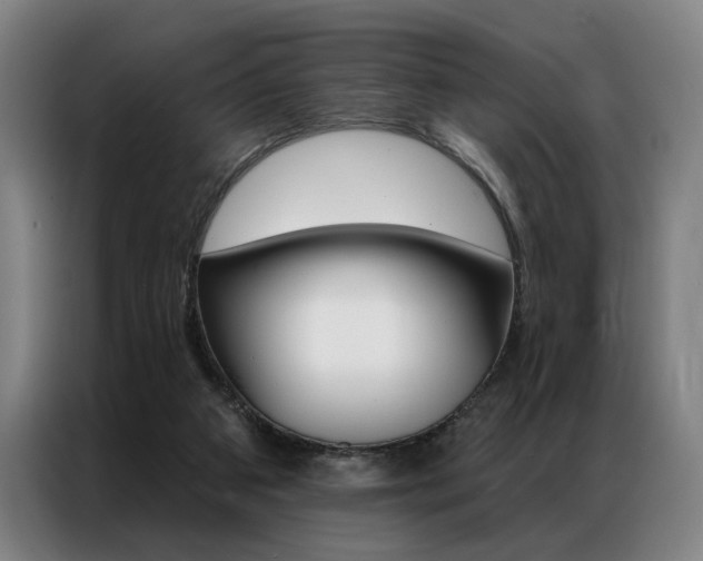 X0000087350113200704200813
