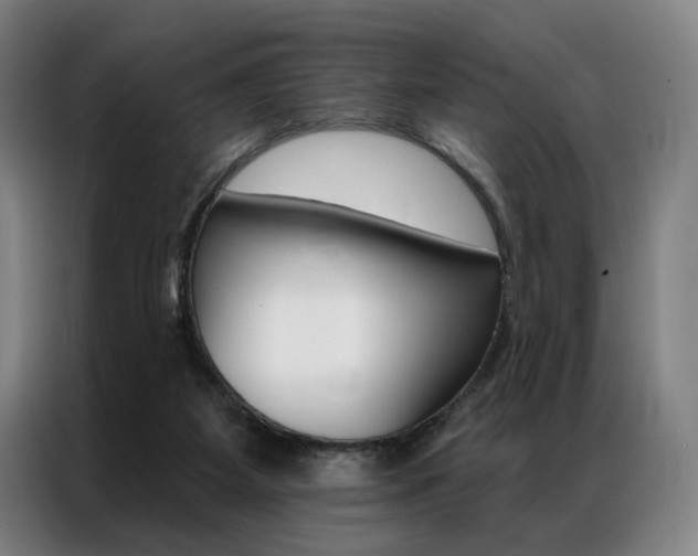 X0000087350115200704200813