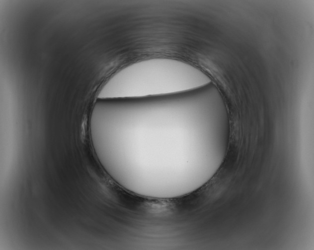 X0000087350118200704200812