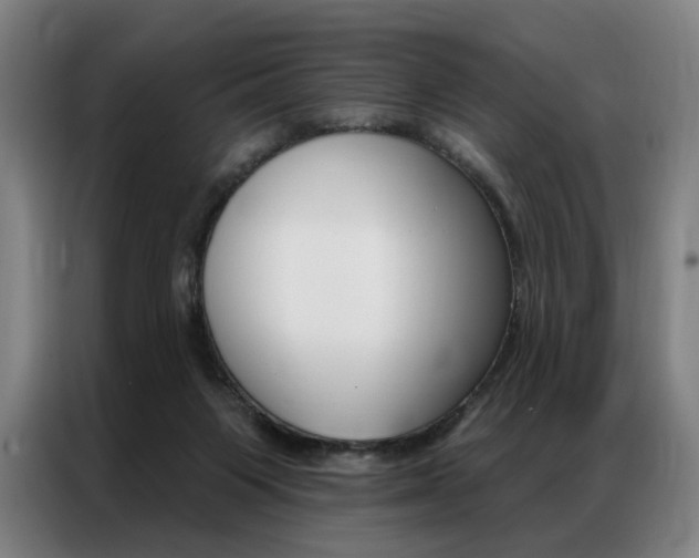X0000087350119200704200812