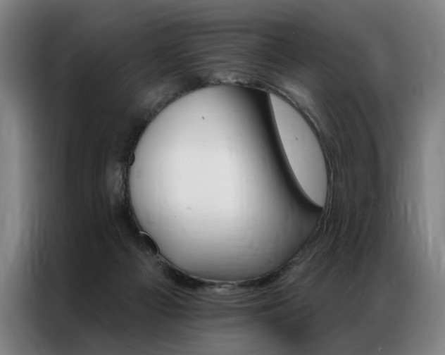 X0000087350121200704200812