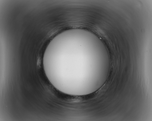 X0000087350124200704200812